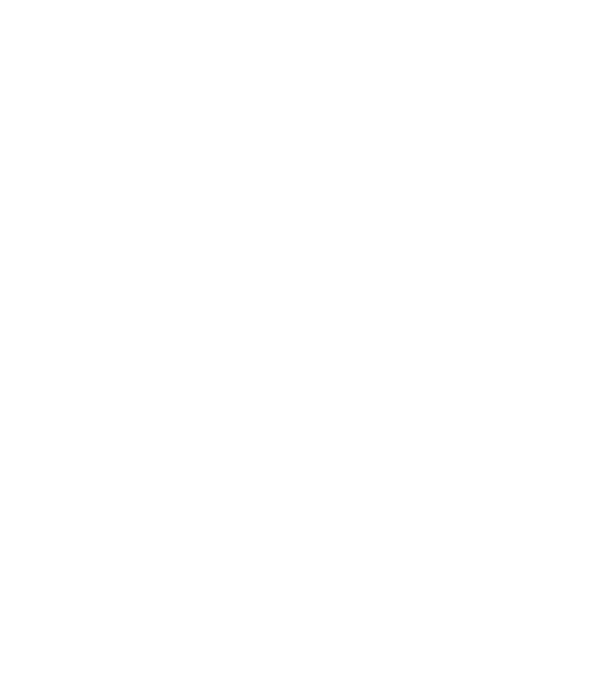 今はまだ 夜明け前の光